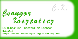 csongor kosztolicz business card